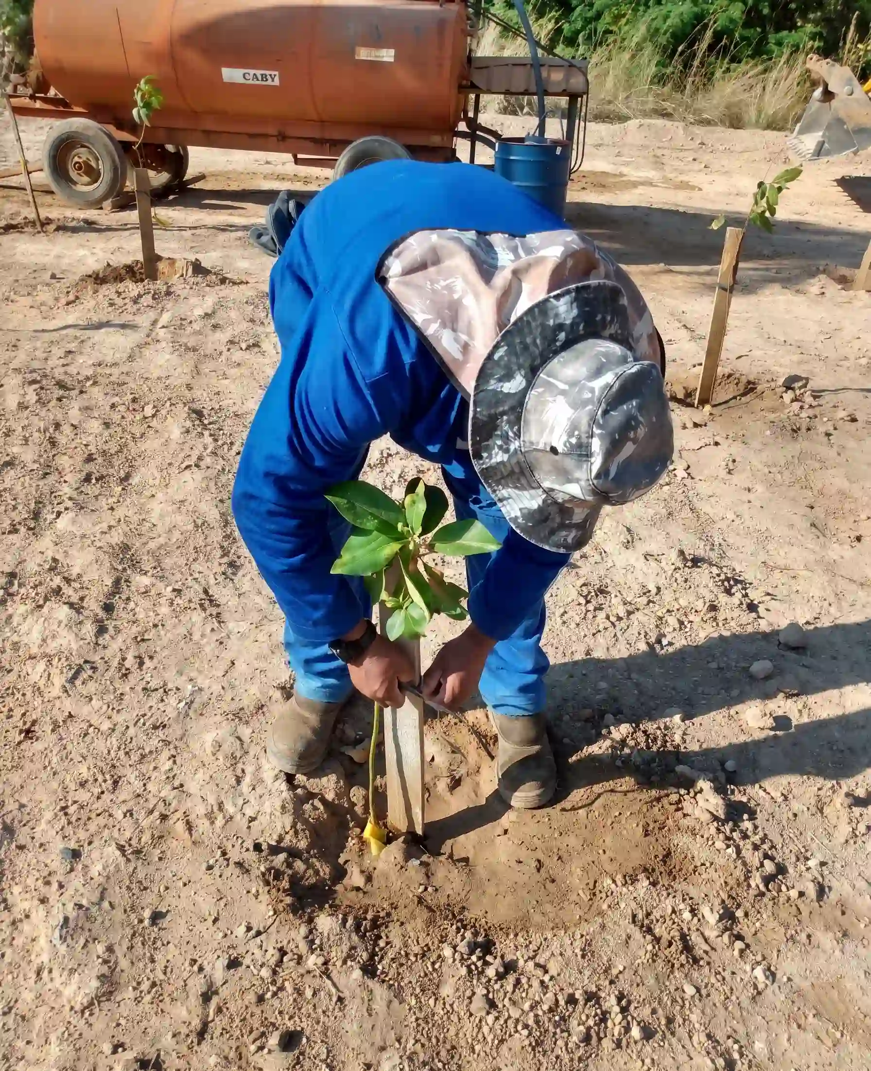 Técnico realizando plantio para revegetação em área degradada com acompanhamento ambiental especializado