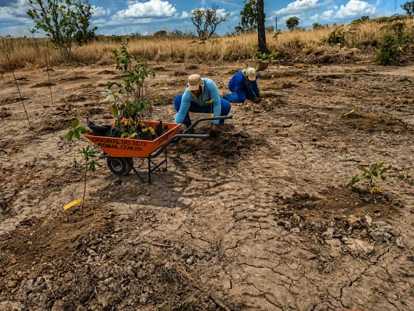 Equipe realizando revegetação e recuperação de solo degradado com técnicas ambientais sustentáveis